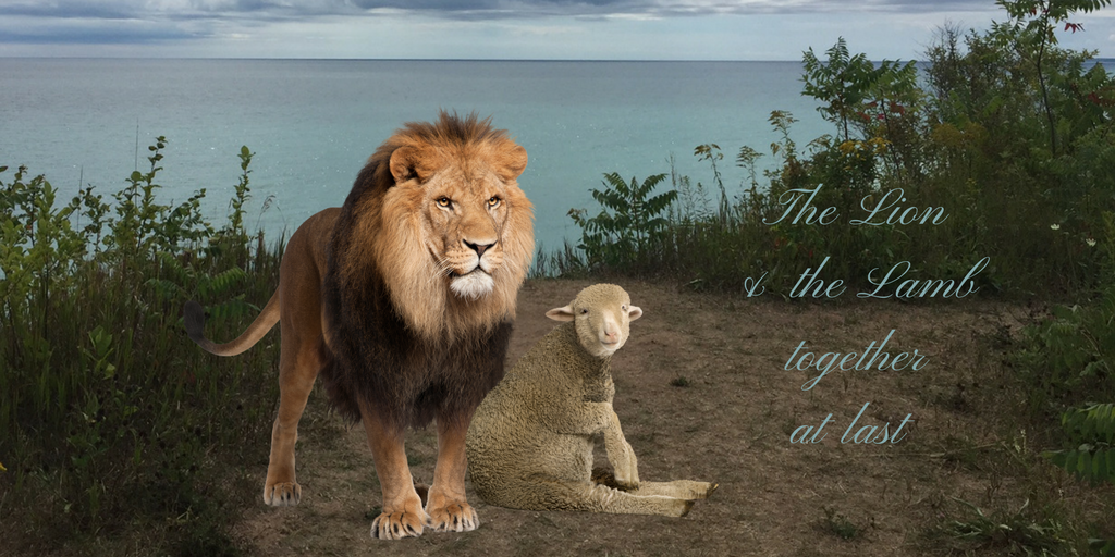 The Lion And The Lamb Lady Of The Lake Holistic Health