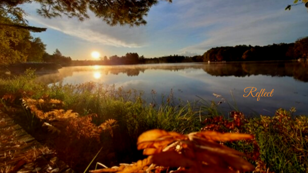 Sun reflecting over water with beautiful autumn foliage